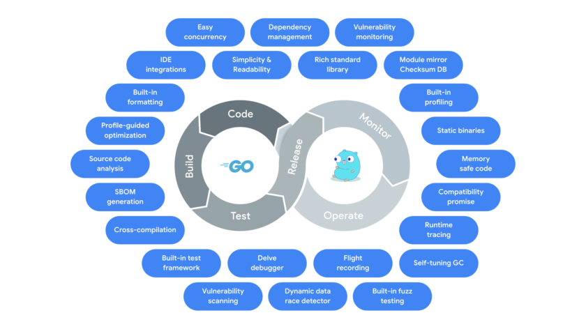 Diagrama oficial da plataforma Go com ferramentas de formatação, testes, dependências e segurança