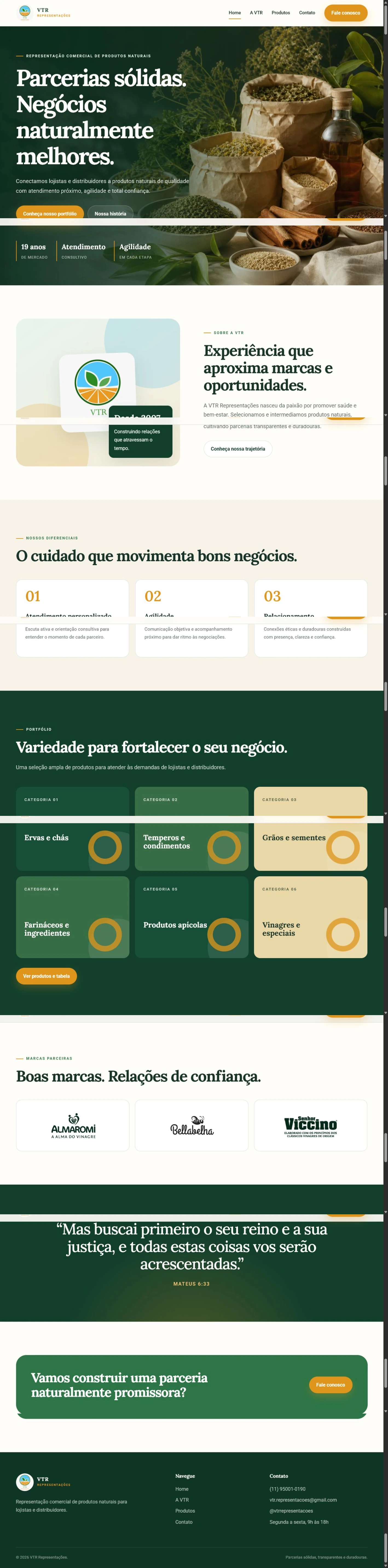 Apresentação visual do projeto VTR Representações